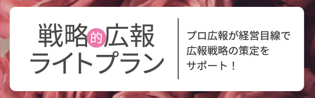 広報ライトプラン